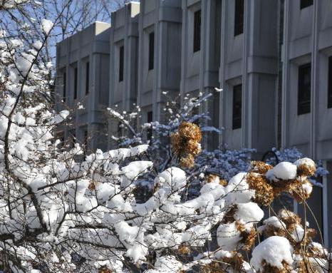 雪中的卡纳迪图书馆.